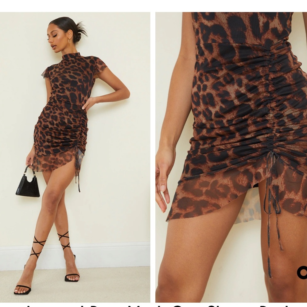 Brown Leopard Print Mesh Cap Sleeve Ruched Frill Hem Bodycon Dress